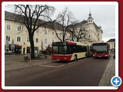 11 (46)