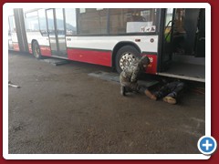 88 (1106)