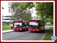 88 (1362)