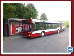 88 (1531)