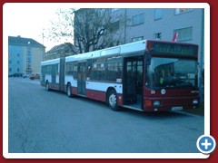 88 (877)