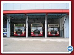 8 (359)