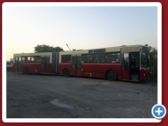 8 (463)
