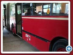 8 (699)