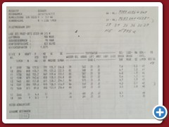 8 (771)